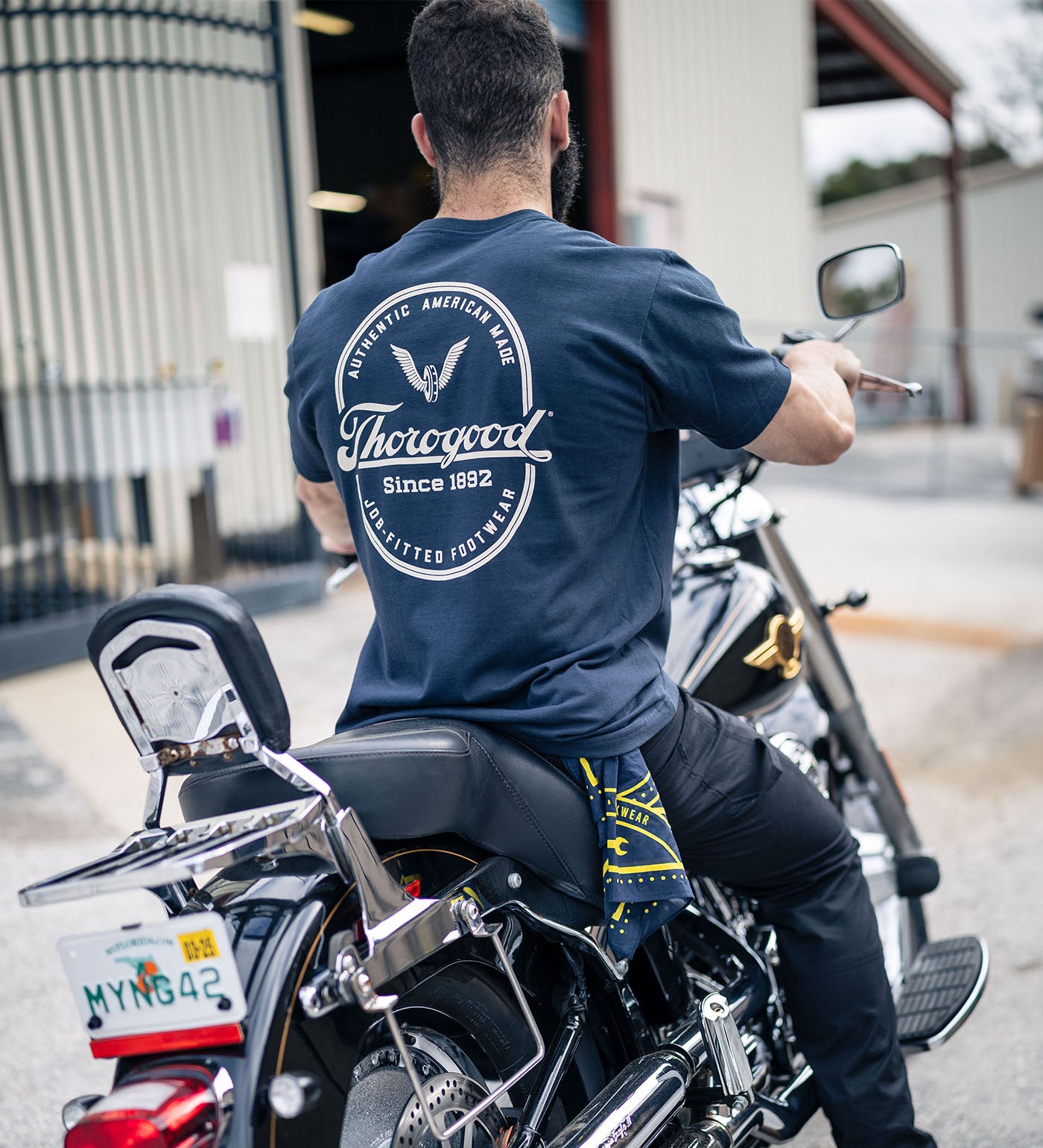 #color_Dark Sapphire